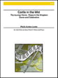 Castle in the Mist Alto Flute and Piano opt. C or Bass flute cover